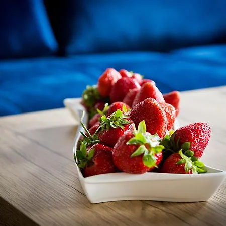 Apartman Dworcowa 60 *